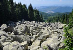 Търсят се фотографи и оператори за невиждано състезание на Морените на 9 юни