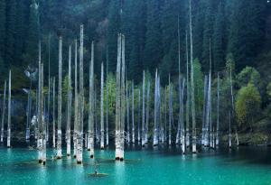 Пътешествие до потъналата гора в Казахстан