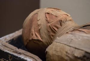 Таримските мумии крият тайни отпреди 2000 години