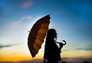 Ваканция на покрива