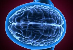 Допаминът ни прави различни от маймуните