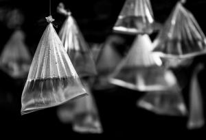 Видео: Трикове с течности