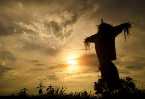 Видео: Как оживява една кукла?