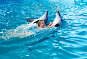 Във варненския делфинариум почина делфинче на 9 дни