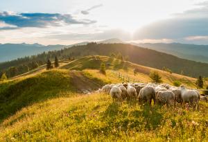 Когато съдиш хората, не ти остава време да ги обичаш