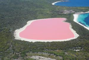 Тайната на уникалното розово езеро Хилиър