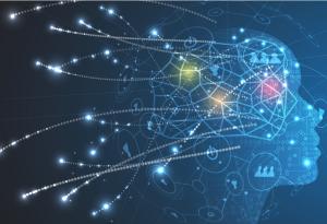 Тези 8 навика увреждат нашия мозък