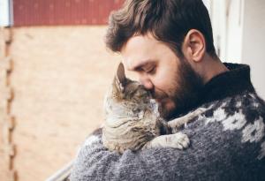 През целия си живот сте държали котката си като аматьори