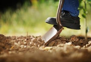 Виц: Лопатата