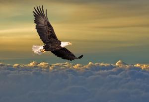 Притча за раковината и орела