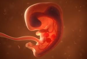 Роди се момиченце, чийто близнак живее в нея