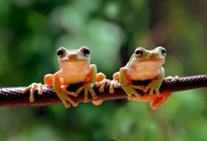 Не трябва де се измъчваме в угода на онези, чиято пустота трябва да се запълва с врява и шум