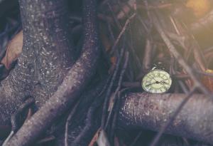 Колко е ценна всяка секунда от всяка минута от всеки час