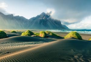 Къде са отишли всички дървета в Исландия?