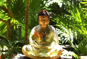 Истинският глас е гласът на сърцето ти