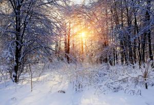 Зимата засилва умствените заболявания