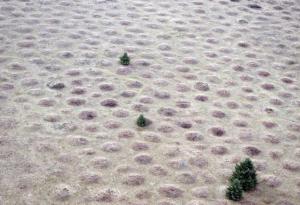 Могилите Майма – загадка за учените от над 150 години