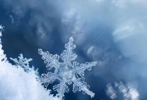 Снежинката