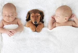  Бебета близнаци в умилителни снимки 