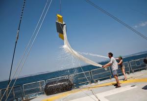 Грийнпийс: Черно море е едно от най-замърсените в света с микропластмаса  