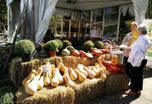 ЗЕЛЕНИ ДНИ 2016: три слънчеви дни, посветени на устойчив туризъм,  зелени идеи и отговорен бизнес