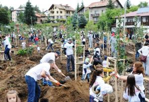 Природен парк "Витоша" става "по-зелен" по време на "Моят зелен град" 2016