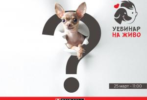Purina организира образователни уебинари, на които ще научите повече за отглеждането на домашните си любимци 
