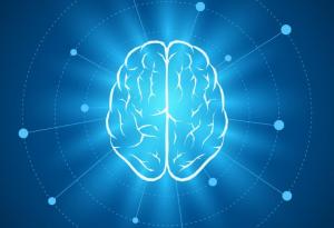 Един научно доказан белег за интелигентност