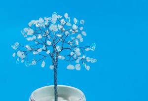 Ето как да си направите магическо кристално дърво, което постепенно се покрива със сняг!