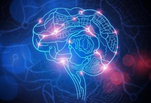 10 неразгадани мистерии на човешкия мозък