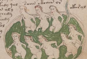 Експерти: Ръкописът на Войнич не е разчетен