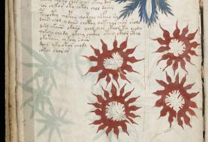 Упоритите букви на Войнич