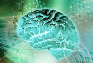 Виц: Невероятният мозък