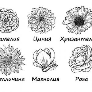 Изберете цвете и открийте какво ви тревожи в момента