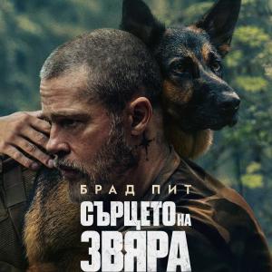 Общи условия за участие в играта 