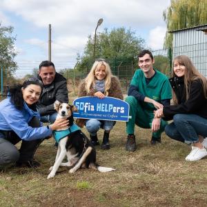 Ученици от Немската гимназия и доброволци от SOFia HELPers посетиха приюта за кучета в с. Сеславци