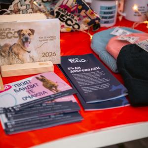 Кампанията „БезДОМен или ДОМашен? Ключът е в теб!“ гостува на Sofia Christmas Fest