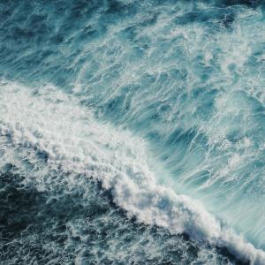 От океаните до Черно море: затоплянето вече променя живота под водата