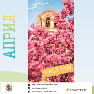 Улови пролетта в кадър!