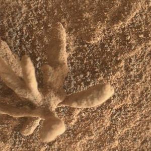 „Кюриосити“ засне това миниатюрно и деликатно „минерално цвете“ на Марс