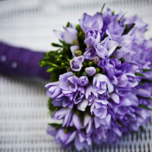 Скритите бодли на цветната индустрия