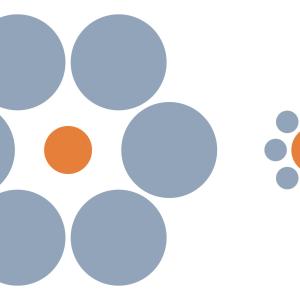 Заблуждават ли се животните от оптичните илюзии? Какво могат да ни научат рибите и птиците за възприятието