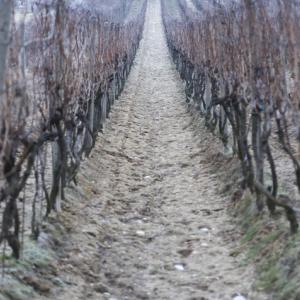 Почвата в регион в Европа деградира бързо. Това е предупреждение за всички ни