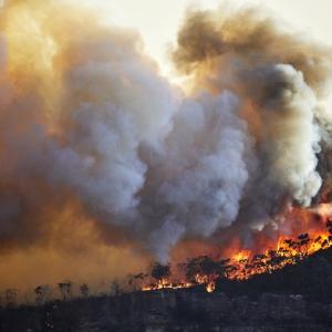 Горските пожари в Австралия през 2019 и 2020 година са влошили състоянието на озоновия слой