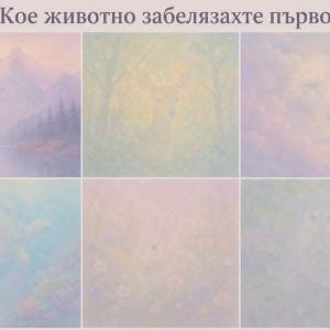 Кое животно видяхте първо – това говори много за вас