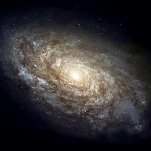 Мистериозна тъмна галактика не излъчва видима светлина