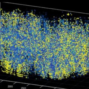 За първи път учени наблюдават 1 млн. неврона в мозъка на мишка едновременно