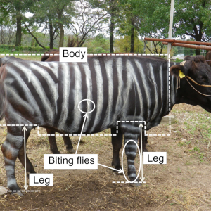 Гущери, ядящи пица, чесън в кърмата и растежът на ноктите - част от носителите на тазгодишния Антинобел