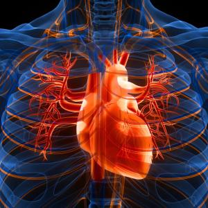 3 лесни промени в ежедневието ни може да намалят риска от инфаркт и инсулт