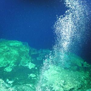 Учени неволно предизвикаха изтичане на метан под Южнокитайско море. Морските организми го ограничиха за изненадващо кратко време